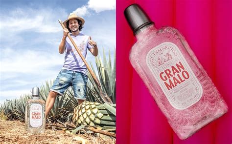 luisito comunica instagram|¿Cuánto cuesta Gran Malo, el tequila de Luisito Comunica, en .